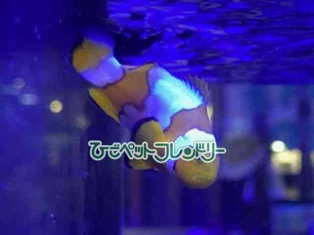 card-img