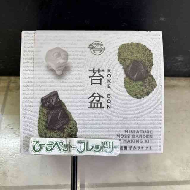 card-img