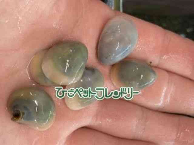card-img