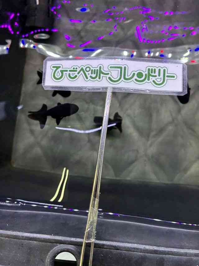 card-img