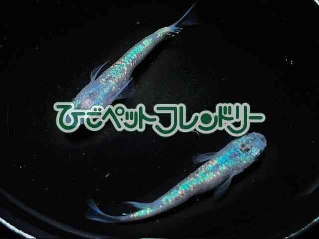 card-img