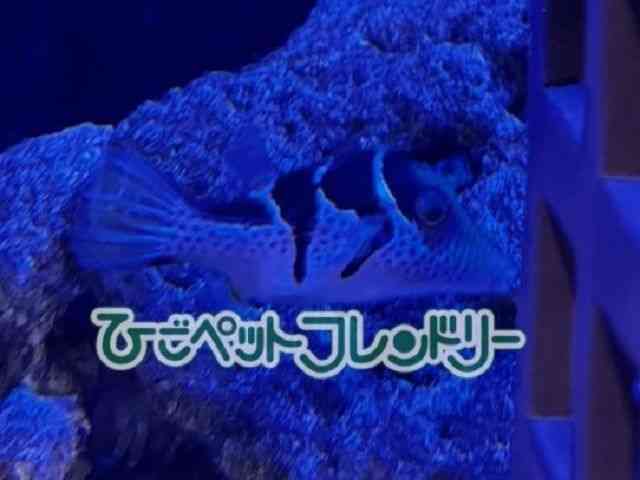 card-img